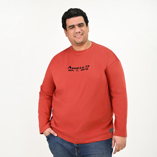 100% Cotton printed t-shirt - BiG-MAN collection  - Apolo design